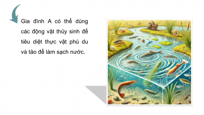 Giáo án điện tử Công nghệ 12 Lâm nghiệp Thủy sản Cánh diều Bài Ôn tập chủ đề 5