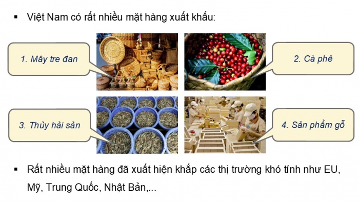 Giáo án điện tử Địa lí 9 kết nối Bài 10: Thực hành Tìm hiểu xu hướng phát triển ngành thương mại, du lịch