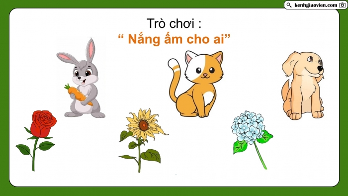 Giáo án điện tử Khoa học 5 chân trời Bài 11: Năng lượng mặt trời, gió và nước chảy