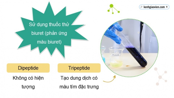 Giáo án điện tử Hoá học 12 kết nối Bài 11: Ôn tập chương 3