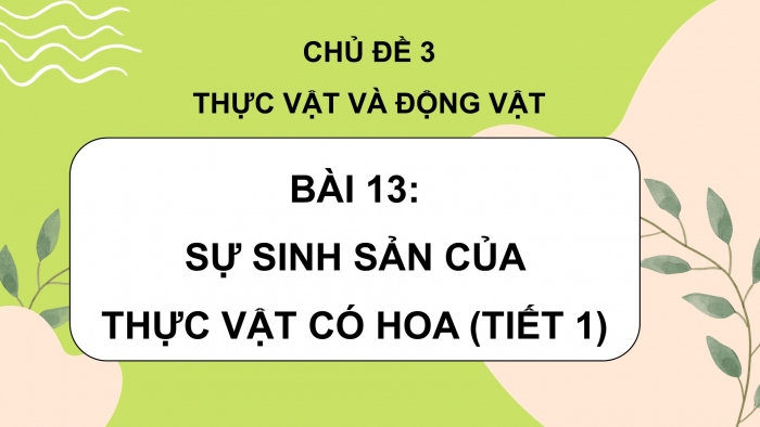 Giáo án điện tử Khoa học 5 chân trời Bài 13: Sự sinh sản của thực vật có hoa