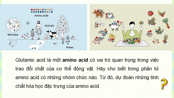 Giáo án điện tử Hóa học 12 cánh diều Bài 6: Amino acid