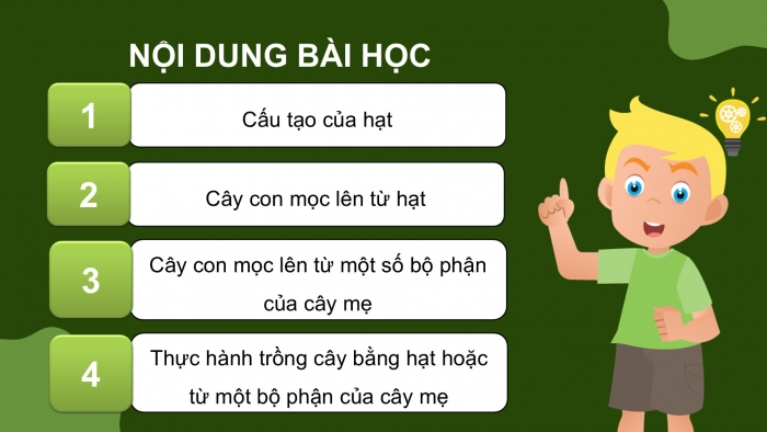 Giáo án điện tử Khoa học 5 chân trời Bài 14: Sự lớn lên và phát triển của thực vật