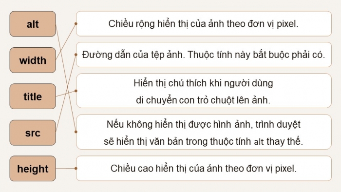 Giáo án điện tử Khoa học máy tính 12 chân trời Bài F6: Dự án tạo trang web