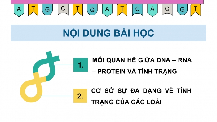 Giáo án điện tử KHTN 9 chân trời - Phân môn Sinh học Bài 40: Từ gene đến tính trạng