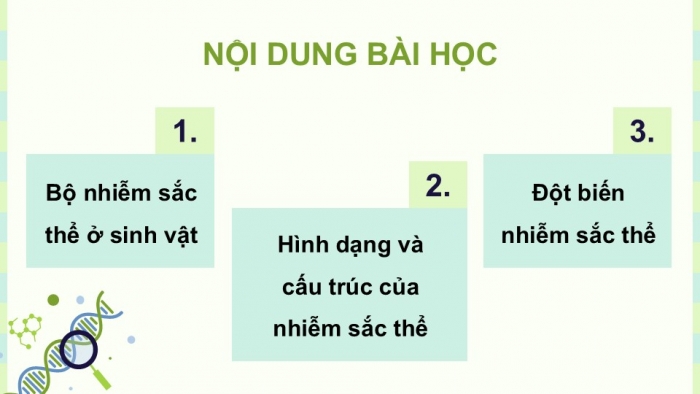 Giáo án điện tử KHTN 9 chân trời - Phân môn Sinh học Bài 41: Cấu trúc nhiễm sắc thể và đột biến nhiễm sắc thể