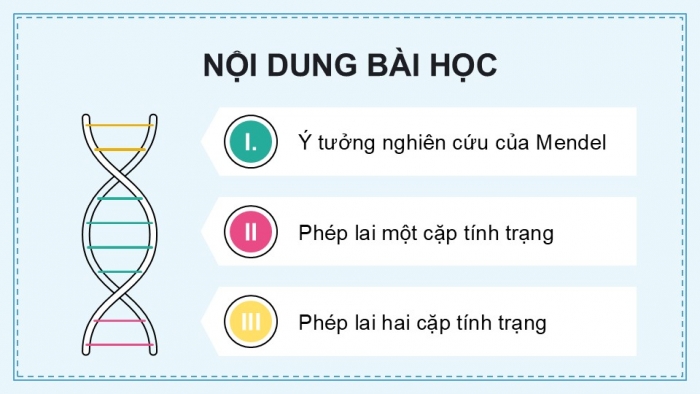 Giáo án điện tử KHTN 9 cánh diều - Phân môn Sinh học Bài 38: Quy luật di truyền của Mendel