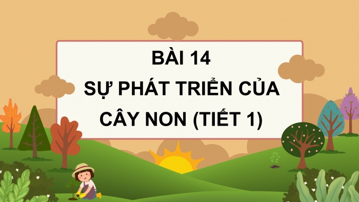 Giáo án điện tử Khoa học 5 kết nối Bài 14: Sự phát triển của cây con