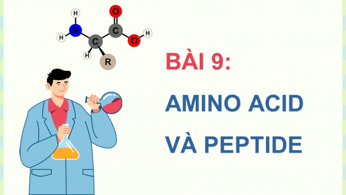 Giáo án điện tử Hoá học 12 kết nối Bài 9: Amino acid và peptide