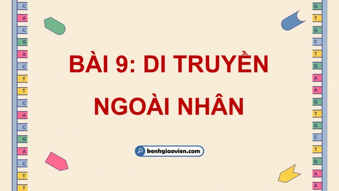 Giáo án điện tử Sinh học 12 chân trời Bài 9: Di truyền gene ngoài nhân