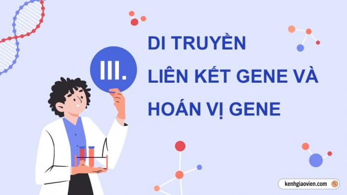 Giáo án điện tử Sinh học 12 chân trời Bài 8: Các quy luật di truyền của Morgan và di truyền giới tính (P2)