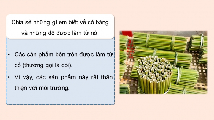 Giáo án điện tử Tiếng Việt 5 chân trời Bài 8: Từ những cánh đồng xanh