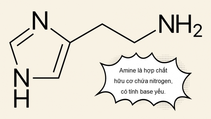 Giáo án điện tử Hoá học 12 chân trời Bài 6: Amine