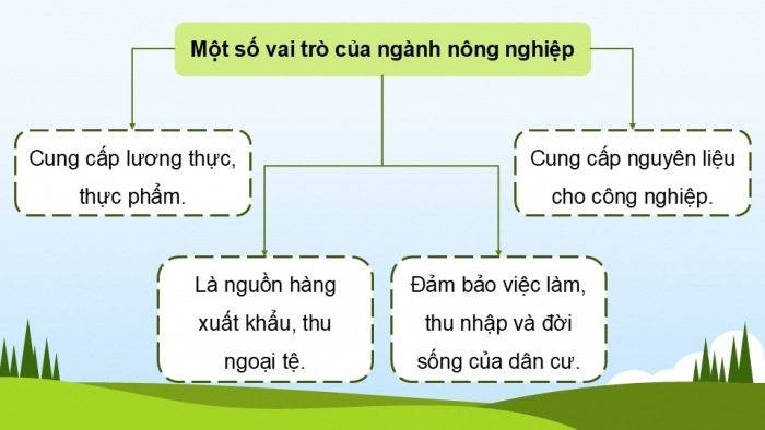 Giáo án điện tử Địa lí 12 chân trời Bài 14: Tổ chức lãnh thổ nông nghiệp