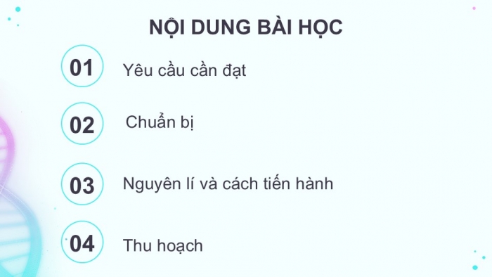 Giáo án điện tử Sinh học 12 kết nối Bài 14: Thực hành Quan sát một số dạng đột biến nhiễm sắc thể