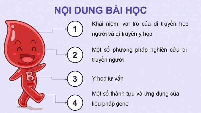 Giáo án điện tử Sinh học 12 kết nối Bài 13: Di truyền học người và di truyền y học