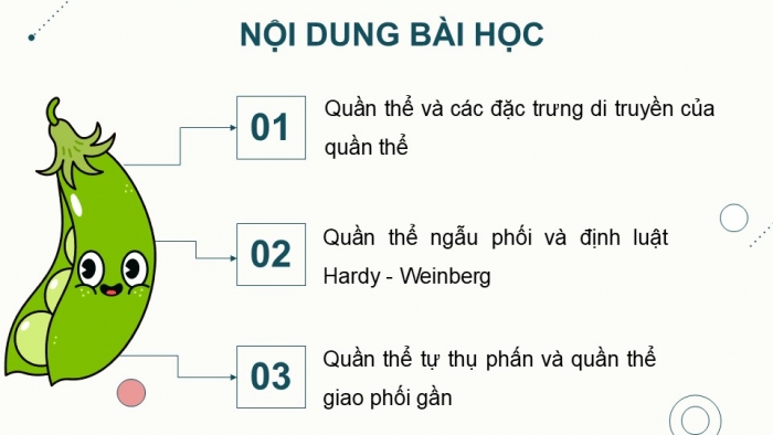 Giáo án điện tử Sinh học 12 kết nối Bài 18: Di truyền quần thể