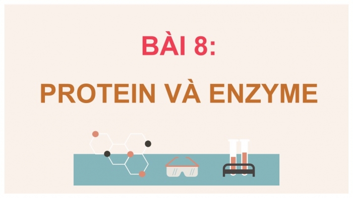 Giáo án điện tử Hoá học 12 chân trời Bài 8: Protein và enzyme