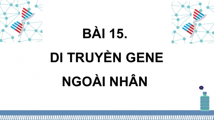 Giáo án điện tử Sinh học 12 kết nối Bài 15: Di truyền gene ngoài nhân