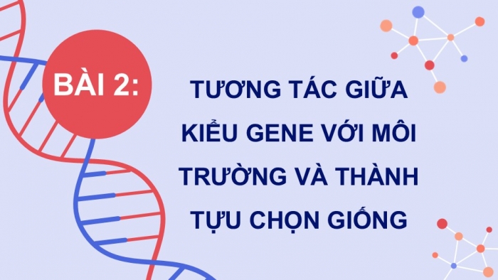 Giáo án điện tử Sinh học 12 kết nối Bài 16: Tương tác giữa kiểu gene với môi trường và thành tựu chọn giống