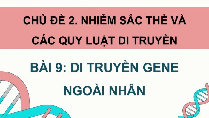 Giáo án điện tử Sinh học 12 cánh diều Bài 9: Di truyền gene ngoài nhân