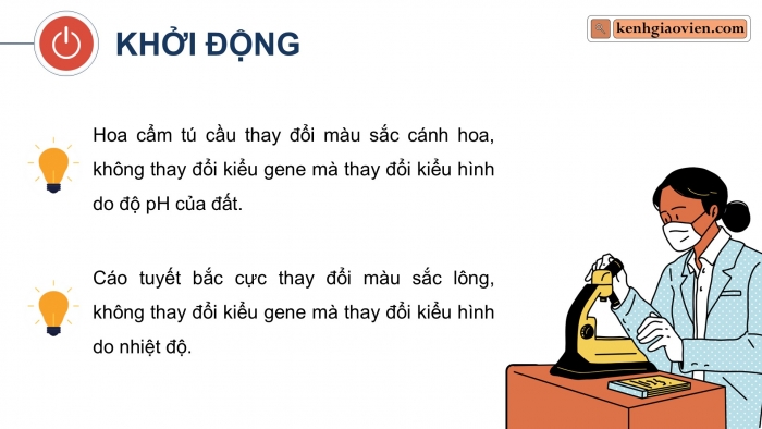 Giáo án điện tử Sinh học 12 cánh diều Bài 10: Mối quan hệ giữa kiểu gene, môi trường và kiểu hình