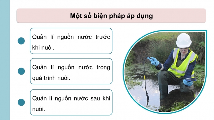 Giáo án điện tử Công nghệ 12 Lâm nghiệp - Thủy sản Kết nối Bài 11: Quản lí môi trường nuôi thuỷ sản