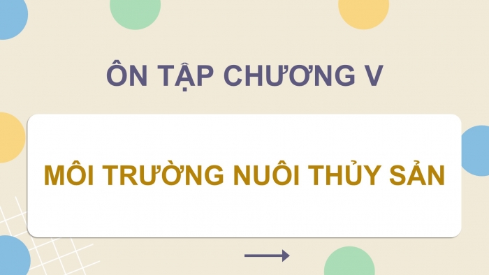 Giáo án điện tử Công nghệ 12 Lâm nghiệp - Thủy sản Kết nối Bài ôn tập chương V