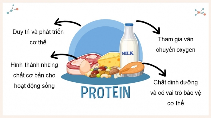 Giáo án điện tử Hóa học 12 cánh diều Bài 7: Peptide, protein và enzyme