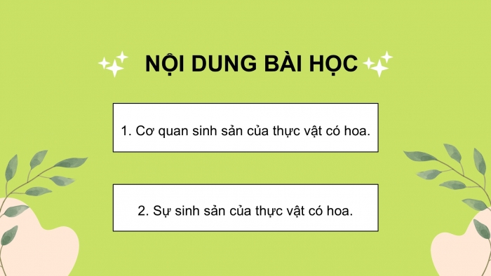 Giáo án điện tử Khoa học 5 chân trời Bài 13: Sự sinh sản của thực vật có hoa