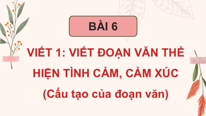 Giáo án điện tử Tiếng Việt 5 cánh diều Bài 6: Viết đoạn văn thể hiện tình cảm, cảm xúc (Cấu tạo của đoạn văn)