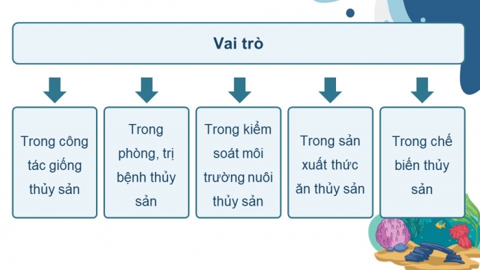 Giáo án điện tử chuyên đề Công nghệ 12 Lâm nghiệp Thuỷ sản Kết nối Bài 5: Vai trò và triển vọng của công nghệ sinh học trong thuỷ sản