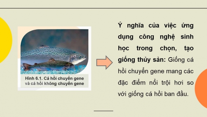 Giáo án điện tử chuyên đề Công nghệ 12 Lâm nghiệp Thuỷ sản Kết nối Bài 6: Một số ứng dụng công nghệ sinh học trong chọn, tạo giống thuỷ sản