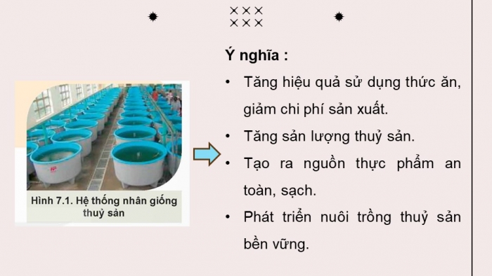 Giáo án điện tử chuyên đề Công nghệ 12 Lâm nghiệp Thuỷ sản Kết nối Bài 7: Ứng dụng công nghệ sinh học trong sản xuất giống thuỷ sản