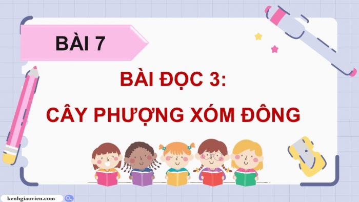 Giáo án điện tử Tiếng Việt 5 cánh diều Bài 7: Cây phượng xóm Đông