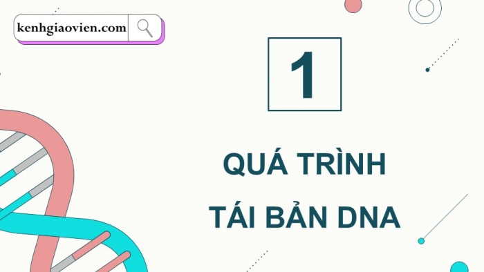 Giáo án điện tử KHTN 9 chân trời - Phân môn Sinh học Bài 39: Quá trình tái bản, phiên mã và dịch mã