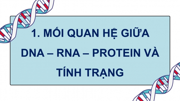 Giáo án điện tử KHTN 9 chân trời - Phân môn Sinh học Bài 40: Từ gene đến tính trạng