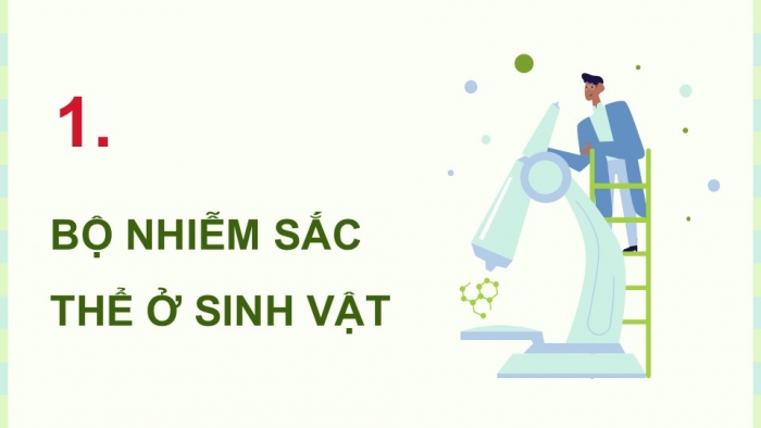 Giáo án điện tử KHTN 9 chân trời - Phân môn Sinh học Bài 41: Cấu trúc nhiễm sắc thể và đột biến nhiễm sắc thể