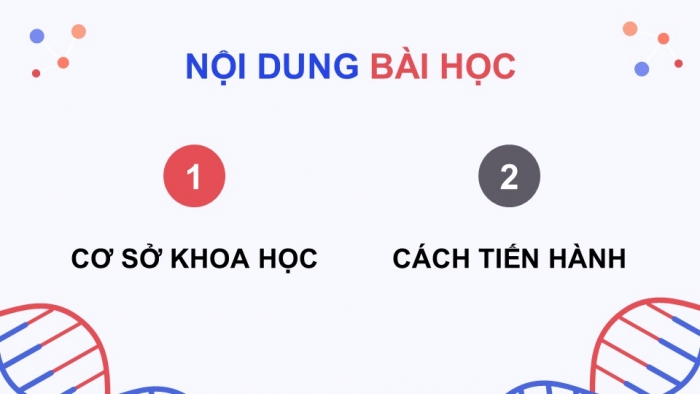 Giáo án điện tử KHTN 9 chân trời - Phân môn Sinh học Bài 42: Thực hành Quan sát tiêu bản nhiễm sắc thể