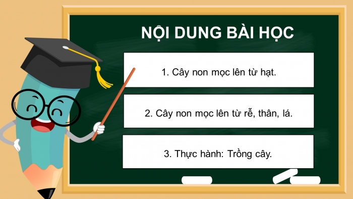 Giáo án điện tử Khoa học 5 kết nối Bài 14: Sự phát triển của cây con