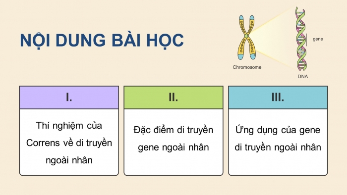 Giáo án điện tử Sinh học 12 chân trời Bài 9: Di truyền gene ngoài nhân