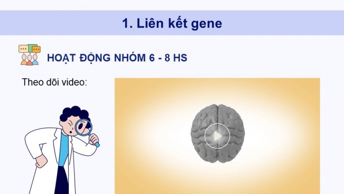 Giáo án điện tử Sinh học 12 chân trời Bài 8: Các quy luật di truyền của Morgan và di truyền giới tính (P2)