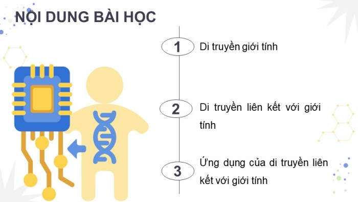 Giáo án điện tử Sinh học 12 kết nối Bài 10: Di truyền giới tính và di truyền liên kết với giới tính