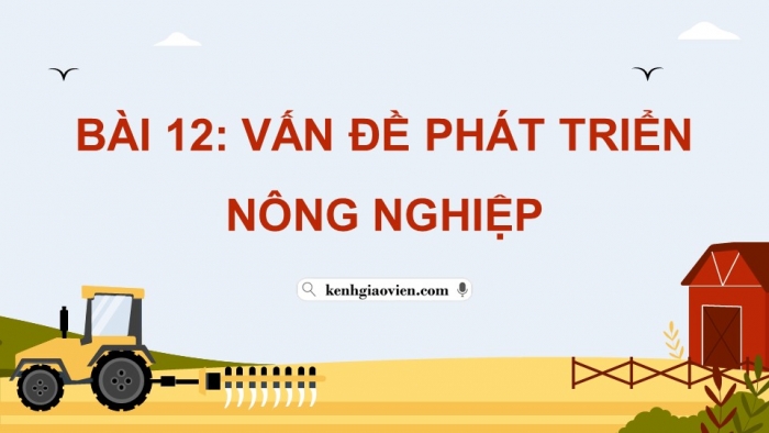 Giáo án điện tử Địa lí 12 chân trời Bài 12: Vấn đề phát triển nông nghiệp