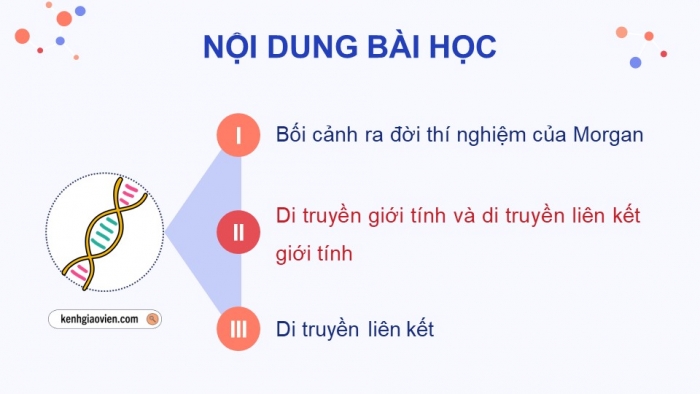 Giáo án điện tử Sinh học 12 cánh diều Bài 8: Di truyền liên kết giới tính, liên kết gene và hoán vị gene