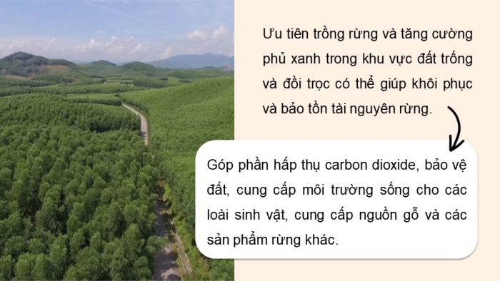 Giáo án điện tử Công nghệ 12 Lâm nghiệp Thủy sản Cánh diều Bài 8: Bảo vệ và khai thác tài nguyên rừng