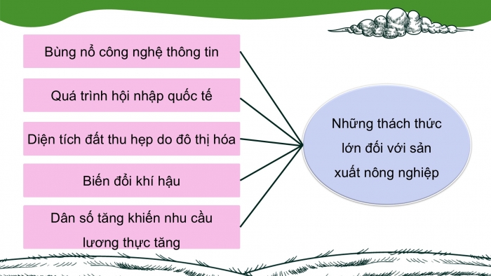 Giáo án điện tử Công nghệ 9 Nông nghiệp 4.0 Chân trời Chủ đề 5: Xu thế phát triển của nền nông nghiệp công nghệ cao