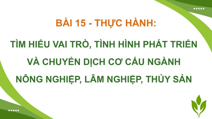 Giáo án điện tử Địa lí 12 chân trời Bài 15: Thực hành Tìm hiểu vai trò, tình hình phát triển và chuyển dịch cơ cấu ngành nông nghiệp, lâm nghiệp, thuỷ sản