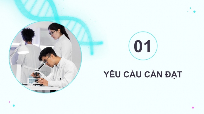 Giáo án điện tử Sinh học 12 kết nối Bài 14: Thực hành Quan sát một số dạng đột biến nhiễm sắc thể