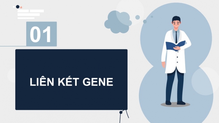 Giáo án điện tử Sinh học 12 kết nối Bài 11: Liên kết gene và hoán vị gene